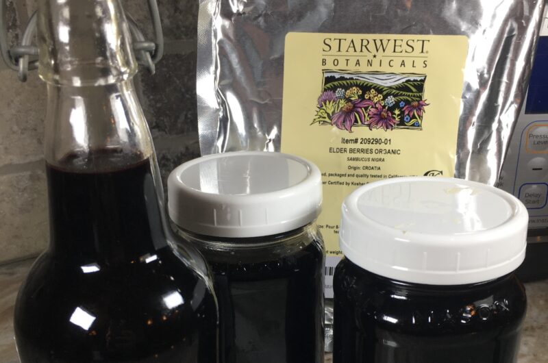 Elderberry: Fast Track Your Recovery